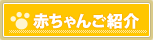赤ちゃんご紹介