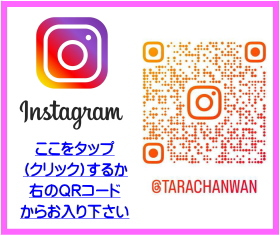 LINE友達登録