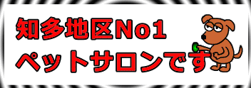 知多地区No1ペットサロン