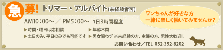 急募！トリマーのパート