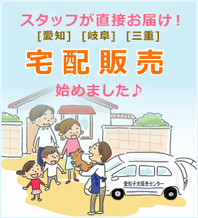 宅配はじめました