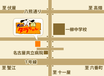 ̃^ANZX}bv