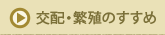 zEɐB̂