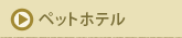ybgze